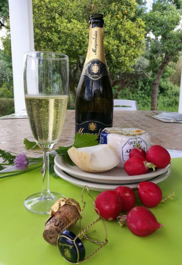 Quinta Villa Arrabida Vila Fresca Luaran gambar